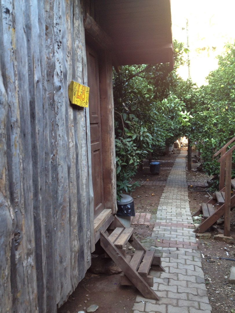 Our treehouse hostel, Bayrams, at Olympos