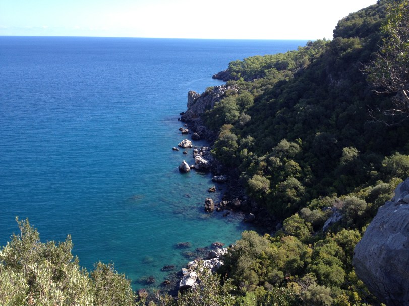 view of the other direction