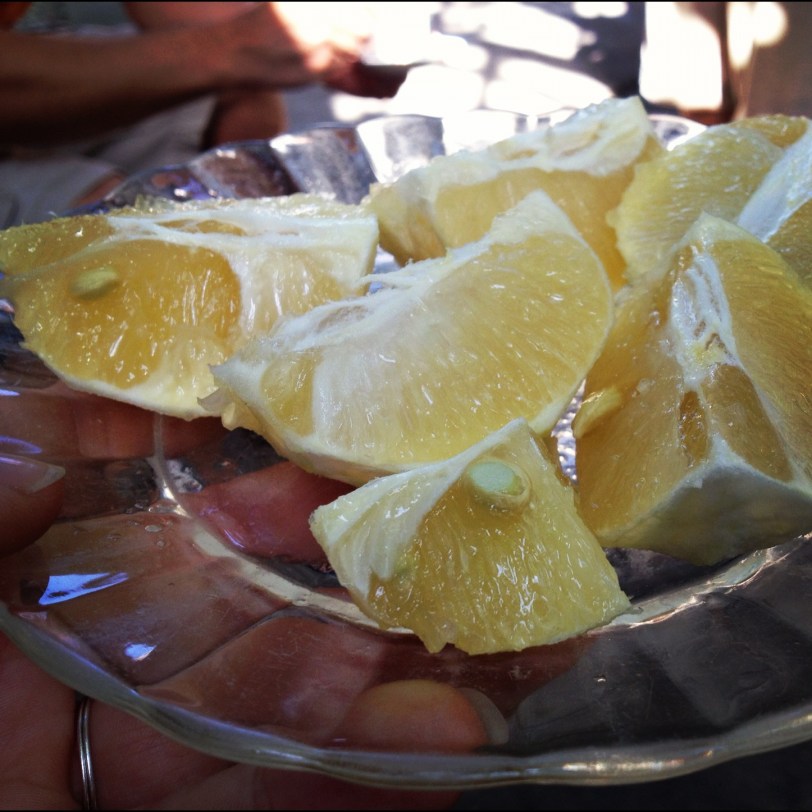 freshly picked sweet lemons, which you can eat straight up