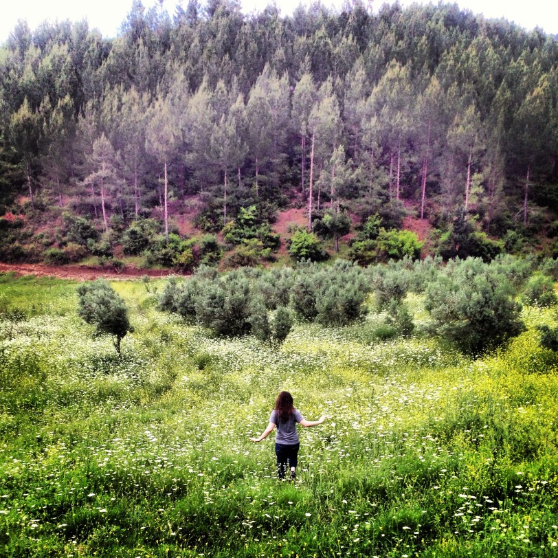 Glorious fields around Osmaniye