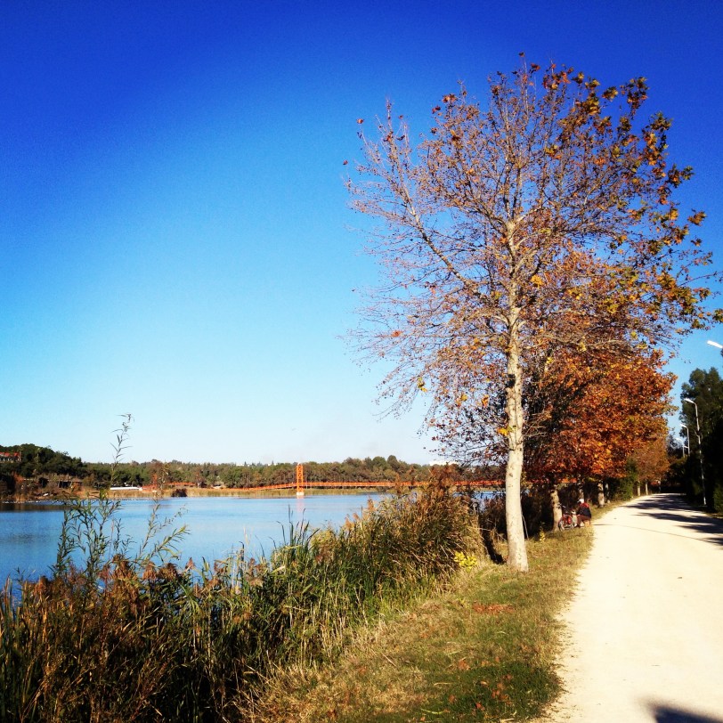 Adana on a nice (non-breezy) winter day