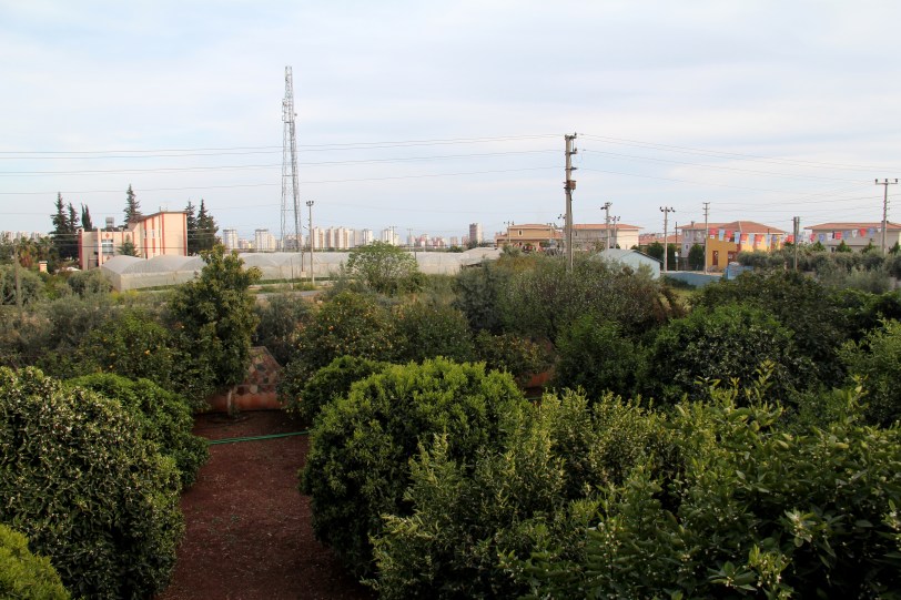 the garden and the sea in the distance