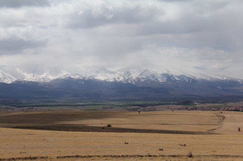 The mountains are just gorgeous.