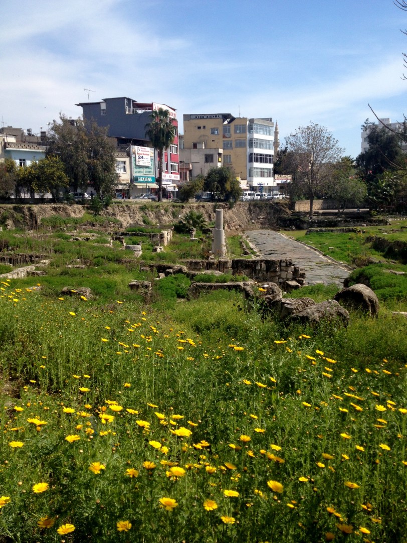 The Ancient Road in Tarsus