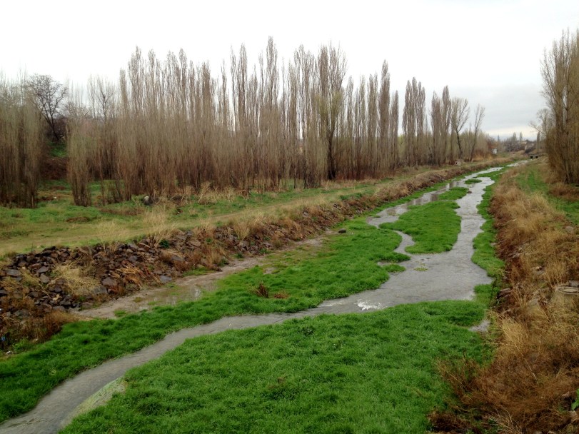 lovely landscape all around