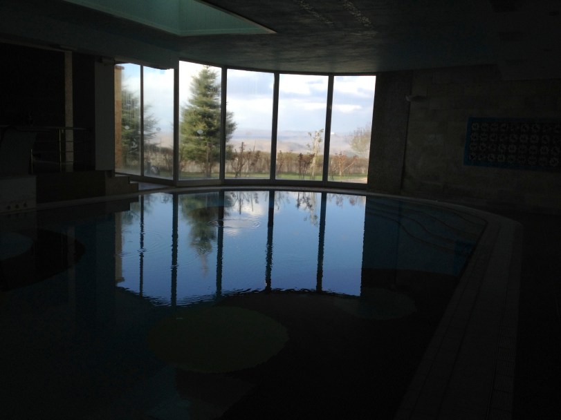 Even a great view from the indoor swimming pool at CCR